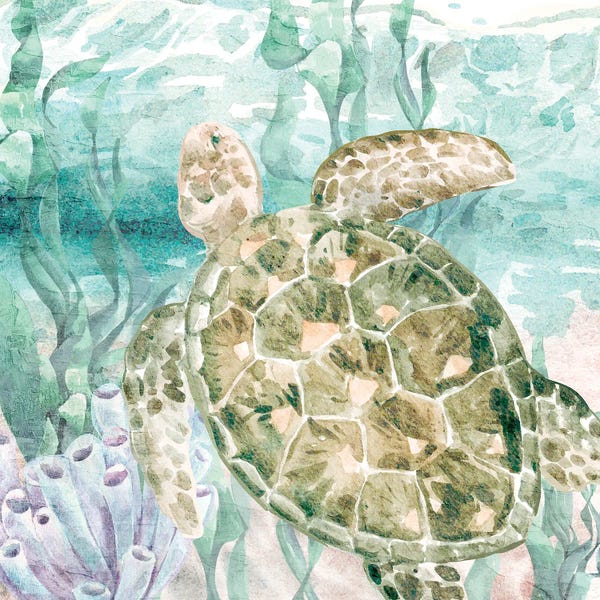 Turtles: Into the Sea I by Kimberly Allen