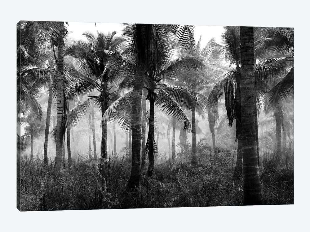 Palms Black And White by Kimberly Allen 1-piece Canvas Art