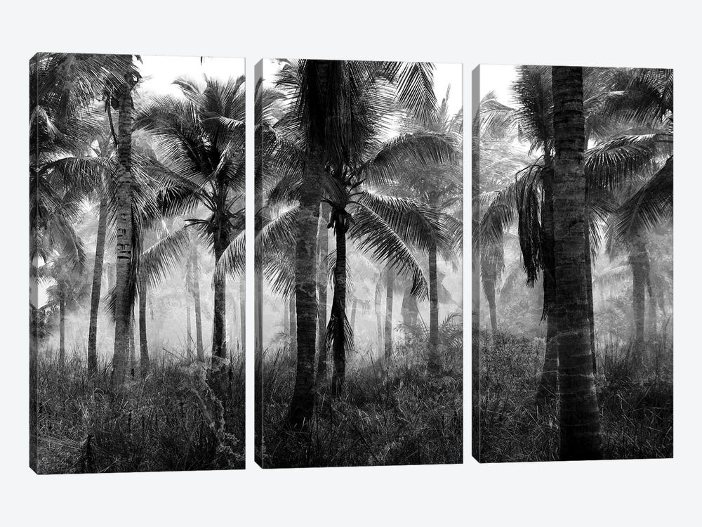 Palms Black And White by Kimberly Allen 3-piece Canvas Wall Art