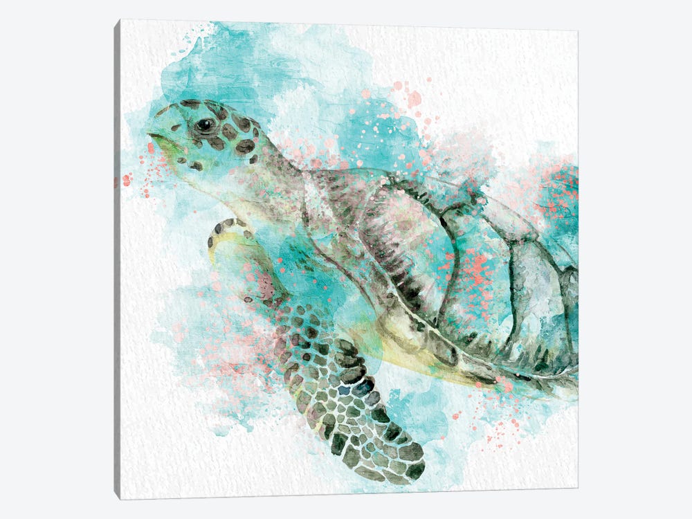 Turtle Swim by Kimberly Allen 1-piece Canvas Print