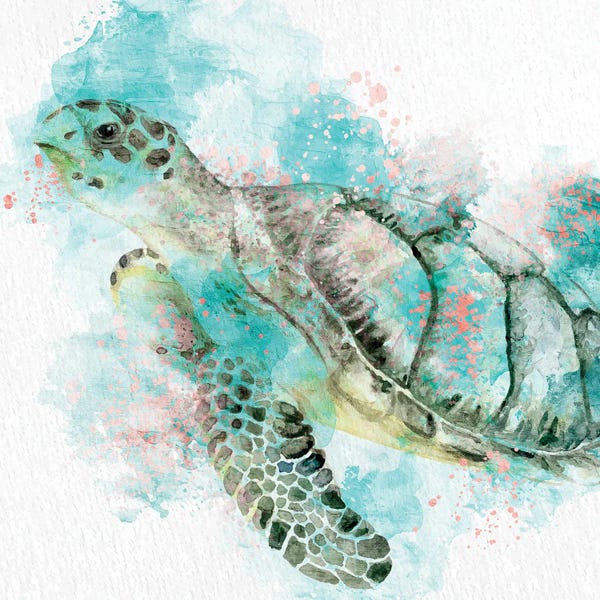 Turtles: Turtle Swim by Kimberly Allen