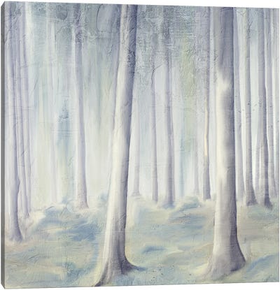 Forest Dreams I V2 Canvas Art Print - Kimberly Allen