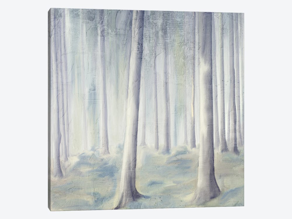 Forest Dreams I V2 by Kimberly Allen 1-piece Art Print