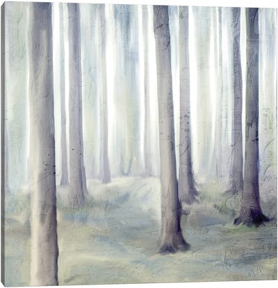 Forest Dreams II V2 Canvas Art Print - Kimberly Allen