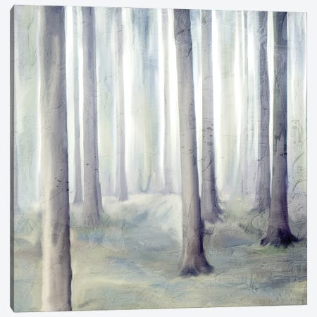 Forest Dreams II V2 Canvas Print #KAL1629} by Kimberly Allen Canvas Wall Art