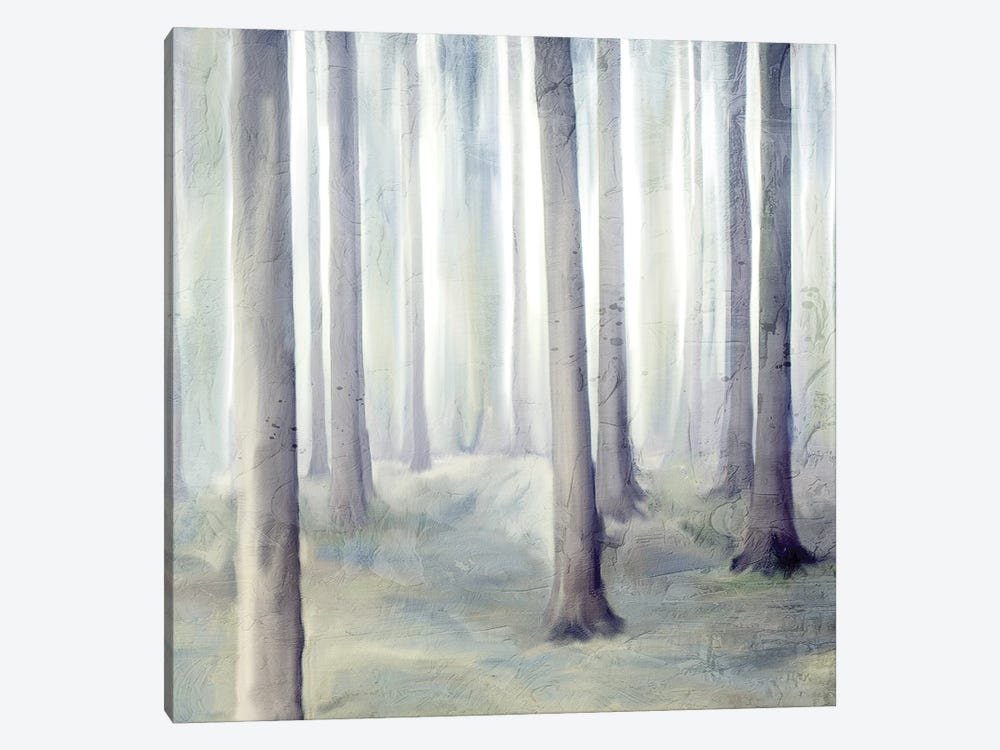 Forest Dreams II V2 by Kimberly Allen 1-piece Canvas Artwork