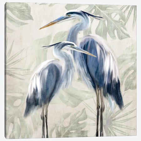 Heron Palms Canvas Print #KAL1631} by Kimberly Allen Canvas Print