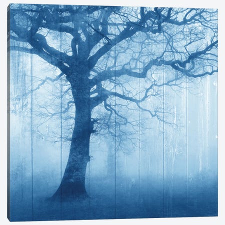 In The Mist V2 Canvas Print #KAL1634} by Kimberly Allen Canvas Wall Art