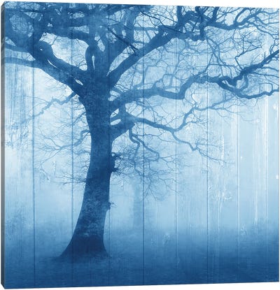 In The Mist V2 Canvas Art Print - Kimberly Allen