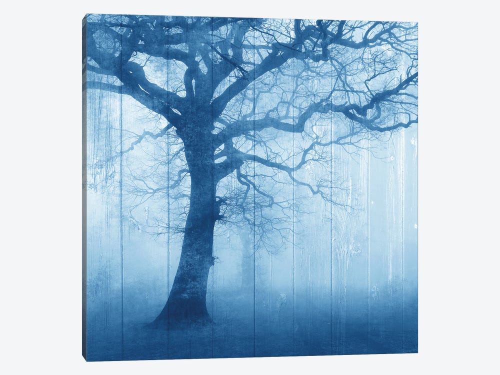 In The Mist V2 by Kimberly Allen 1-piece Canvas Wall Art