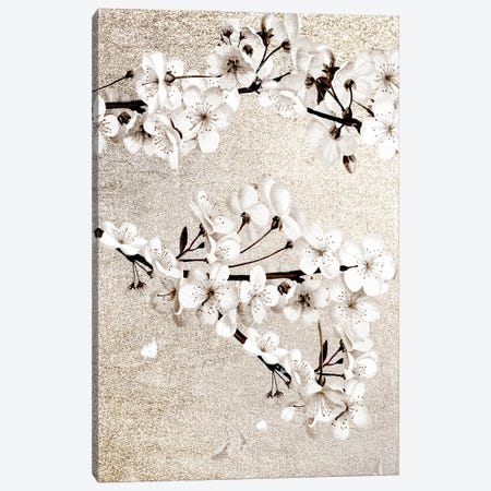 Neutral Magnolia Branches I Canvas Print #KAL1635} by Kimberly Allen Canvas Wall Art