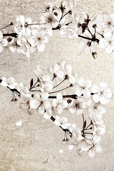 Magnolias: Neutral Magnolia Branches I by Kimberly Allen