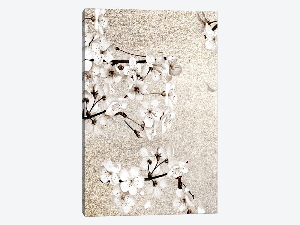 Neutral Magnolia Branches II by Kimberly Allen 1-piece Canvas Art