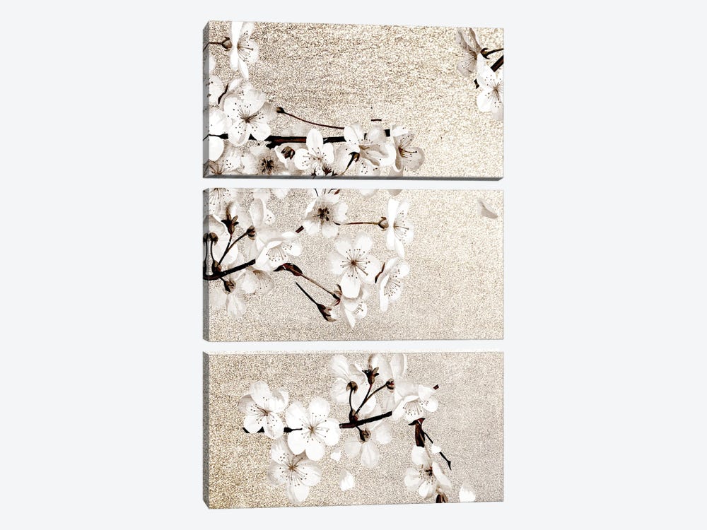 Neutral Magnolia Branches II by Kimberly Allen 3-piece Canvas Artwork