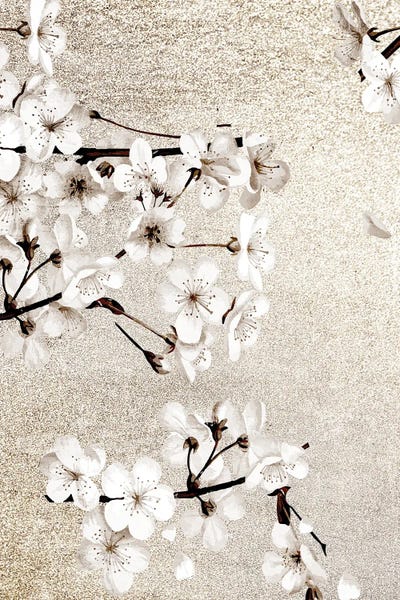 Magnolias: Neutral Magnolia Branches II by Kimberly Allen