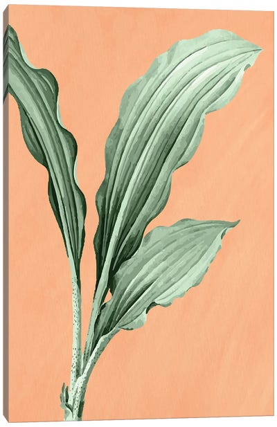 Palm On Orange I Canvas Art Print - Kimberly Allen