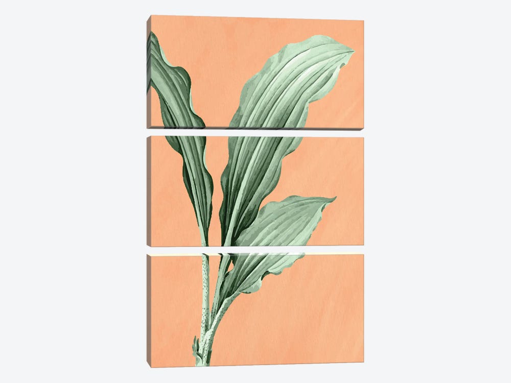 Palm On Orange I by Kimberly Allen 3-piece Canvas Art Print