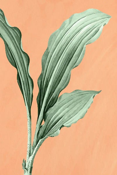 Fine Art Print: Palm On Orange I by Kimberly Allen