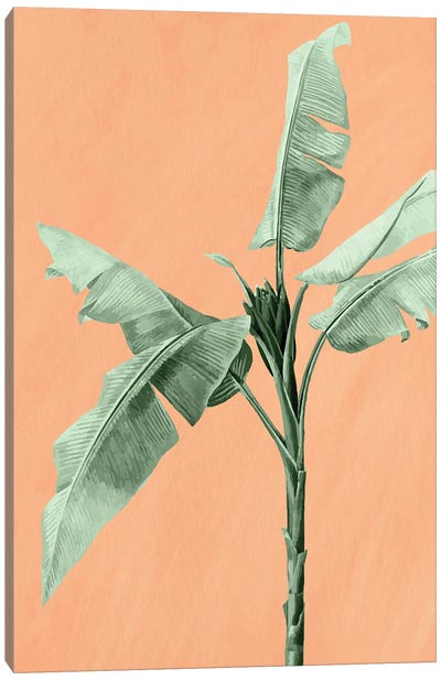 Palm On Orange II Canvas Art Print - Kimberly Allen
