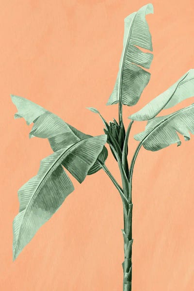 Fine Art Print: Palm On Orange II by Kimberly Allen