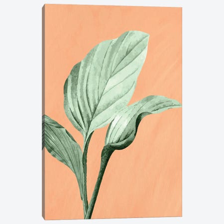 Palm On Orange III Canvas Print #KAL1639} by Kimberly Allen Canvas Print