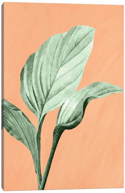 Palm On Orange III Canvas Art Print - Kimberly Allen