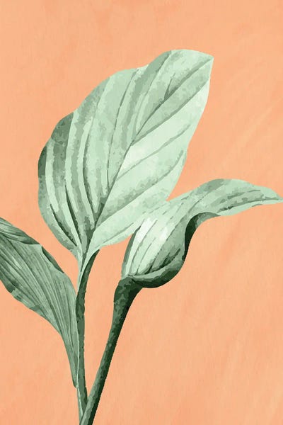 Fine Art Print: Palm On Orange III by Kimberly Allen