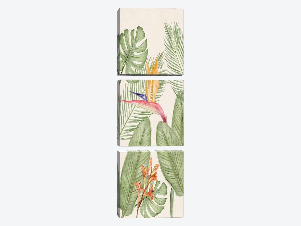 Tropic Panel I by Kimberly Allen 3-piece Canvas Print