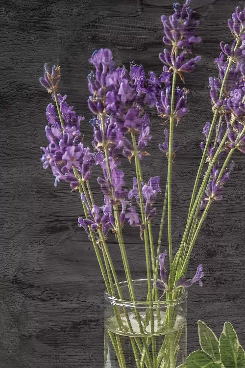 Lavender Jar II