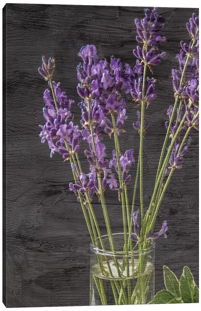 Lavender Jar II Canvas Art Print - Herb Art