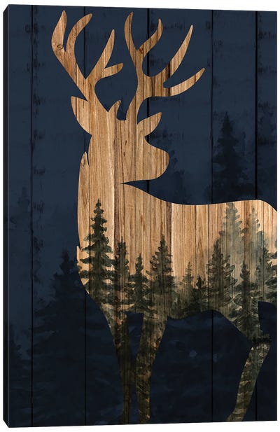 Hidden Forest II Canvas Art Print - Kimberly Allen