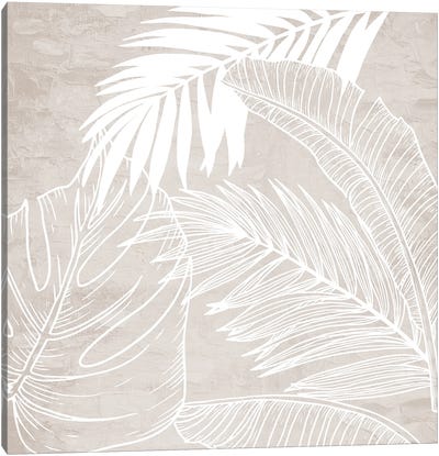 White and Cream Palms I Canvas Art Print - Kimberly Allen