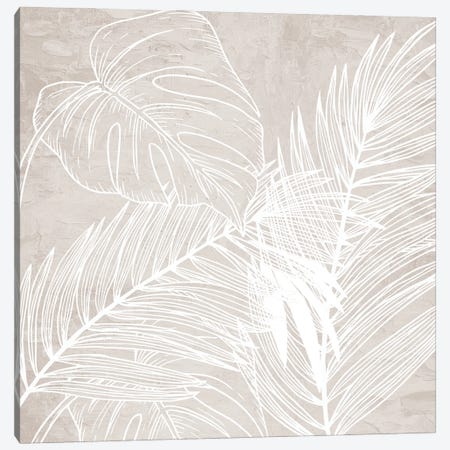 White and Cream Palms II Canvas Print #KAL1689} by Kimberly Allen Canvas Wall Art