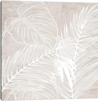 White and Cream Palms II Canvas Art Print - Kimberly Allen