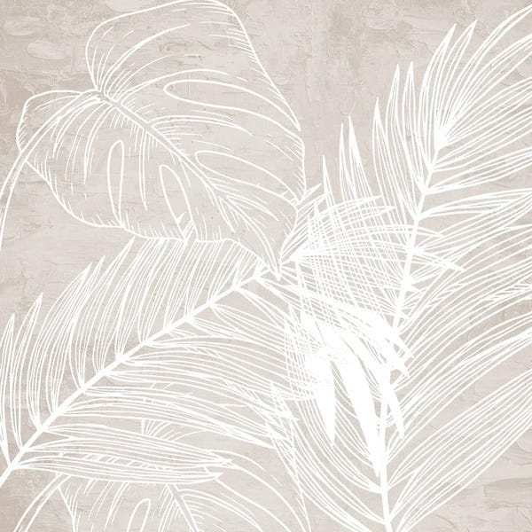 Fine Art Print: White and Cream Palms II by Kimberly Allen