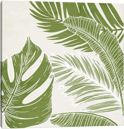 Overlapping Palms I Canvas Art Print - Kimberly Allen