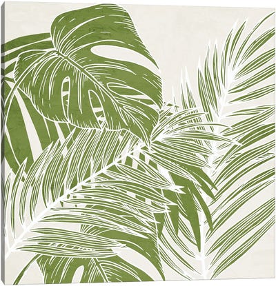 Overlapping Palms II Canvas Art Print - Kimberly Allen