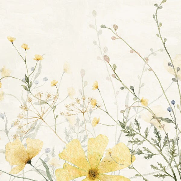 A.D. Lines Eurogroup Inc.: Wildflower Yellow II by Kimberly Allen