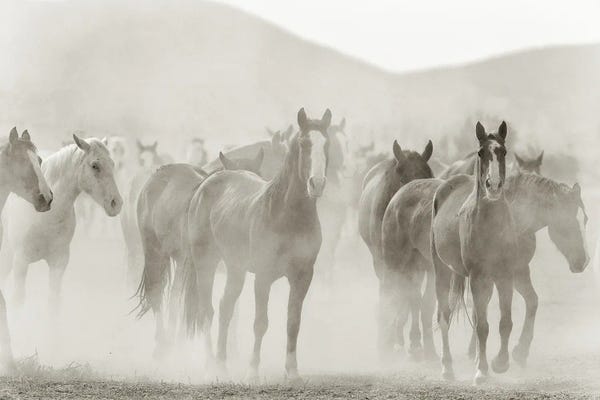 Fine Art Print: Run by Kimberly Allen