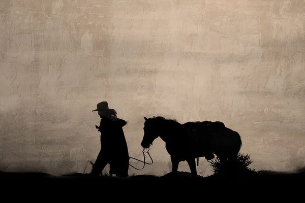 Cowboys & Cowgirls: The Walk Home by Kimberly Allen