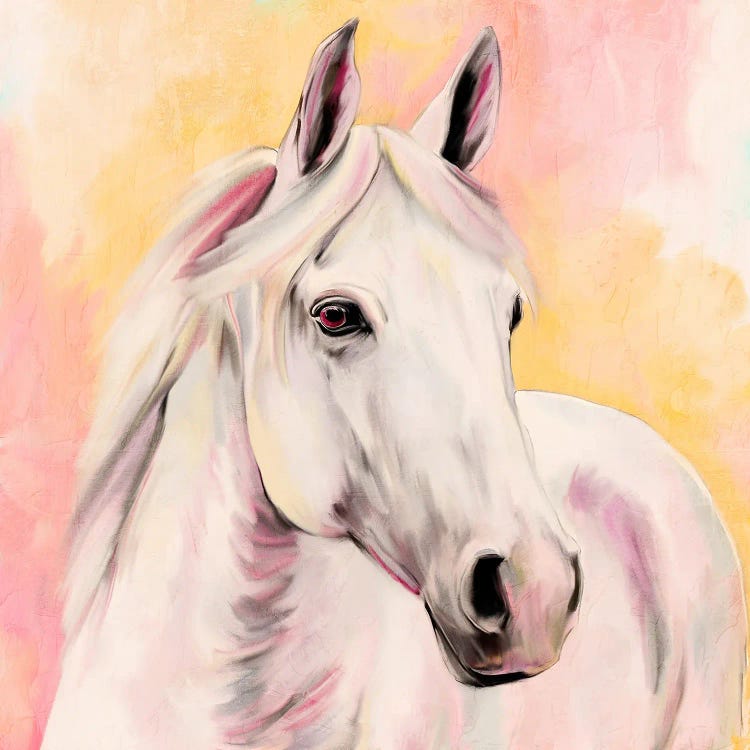 Sunset White by Kimberly Allen wall art