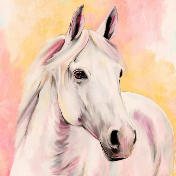 Kimberly Allen: Sunset White by Kimberly Allen