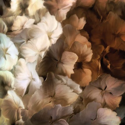 Kimberly Allen - Canvas Prints: Shades by Kimberly Allen