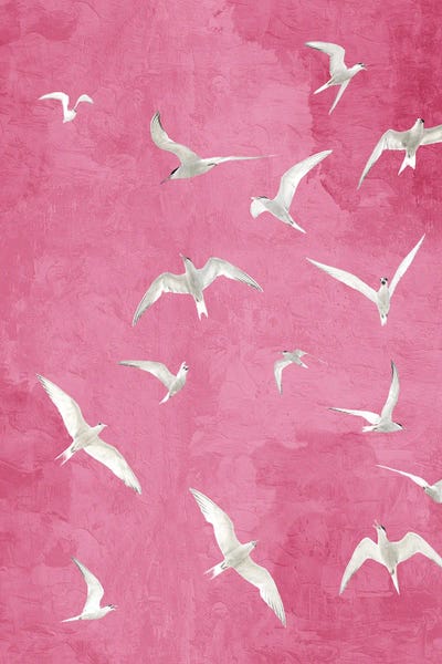 Kimberly Allen: Pink Flight by Kimberly Allen