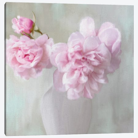 Vase Of Pink Canvas Print #KAL175} by Kimberly Allen Canvas Print