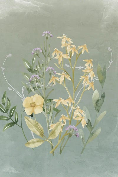 Spring Leaves - Canvas Prints: Wildflowers Spray I by Kimberly Allen