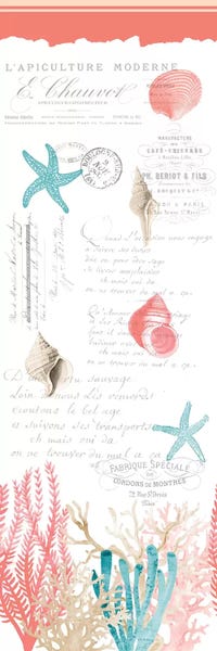 A.D. Lines Eurogroup Inc.: Coral Cove by Kimberly Allen