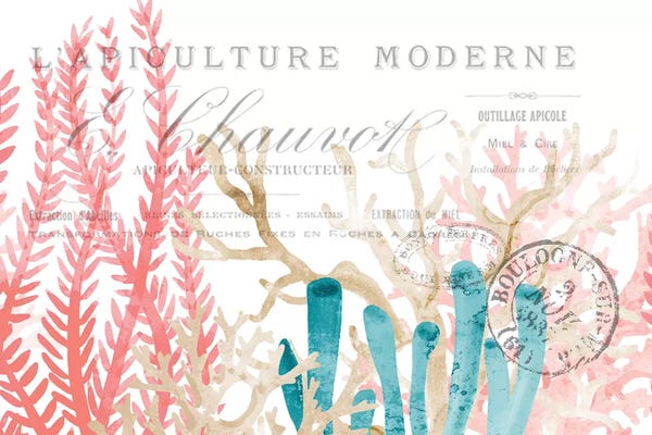 Coral: Coral Cove I by Kimberly Allen