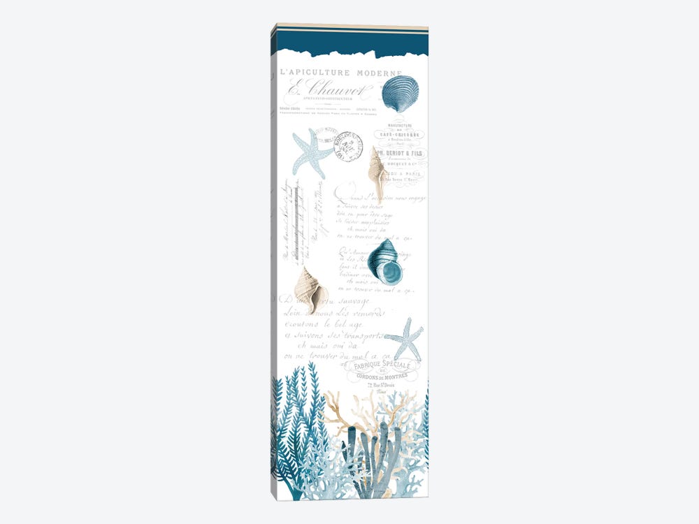 Coral Cove Blue by Kimberly Allen 1-piece Canvas Print