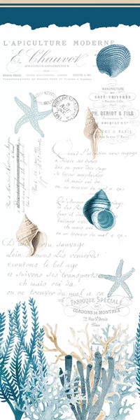 Coral: Coral Cove Blue by Kimberly Allen